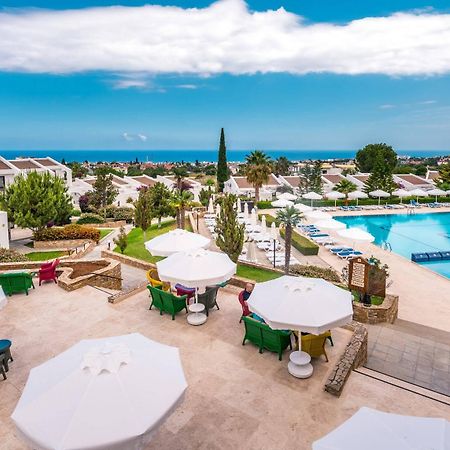 The Olive Tree Hotel Agios Epiktitos Ngoại thất bức ảnh