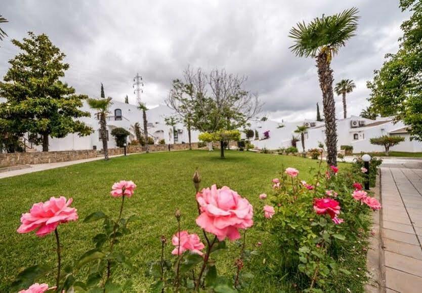 The Olive Tree Hotel Agios Epiktitos Ngoại thất bức ảnh