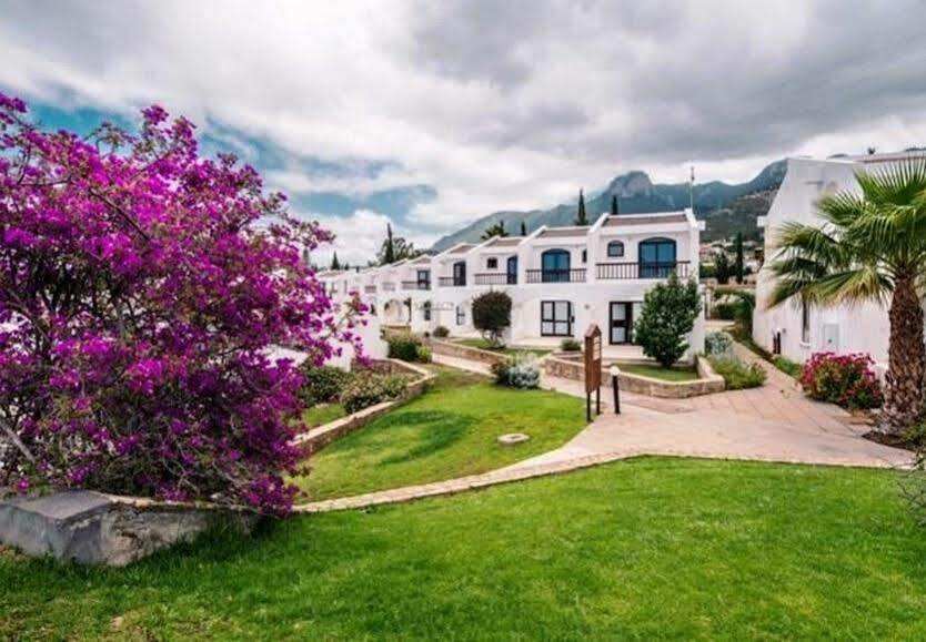 The Olive Tree Hotel Agios Epiktitos Ngoại thất bức ảnh