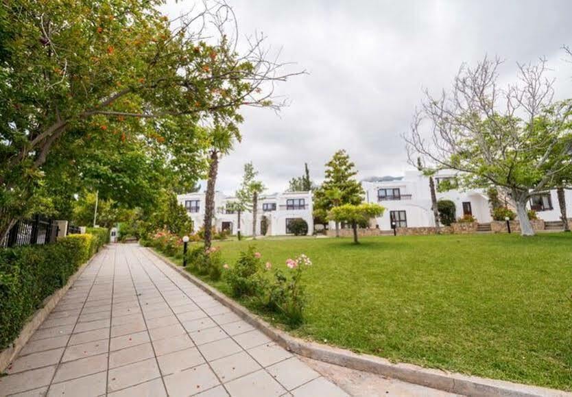 The Olive Tree Hotel Agios Epiktitos Ngoại thất bức ảnh