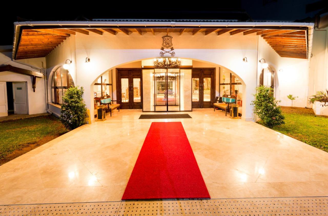 The Olive Tree Hotel Agios Epiktitos Ngoại thất bức ảnh