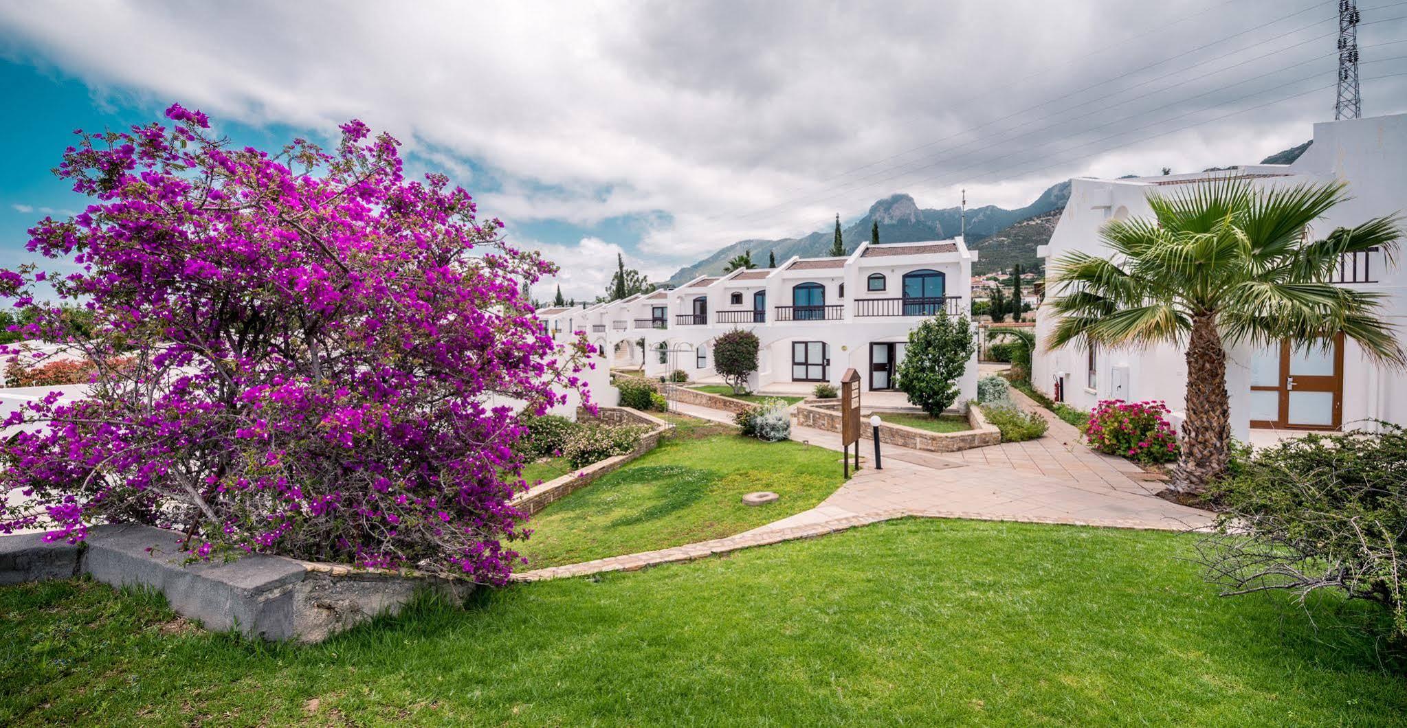 The Olive Tree Hotel Agios Epiktitos Ngoại thất bức ảnh
