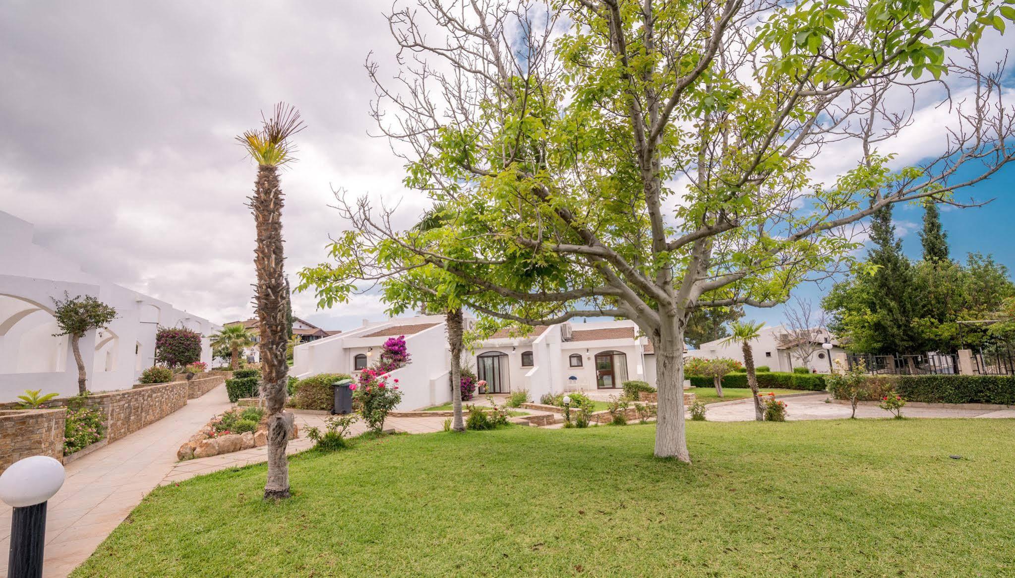 The Olive Tree Hotel Agios Epiktitos Ngoại thất bức ảnh